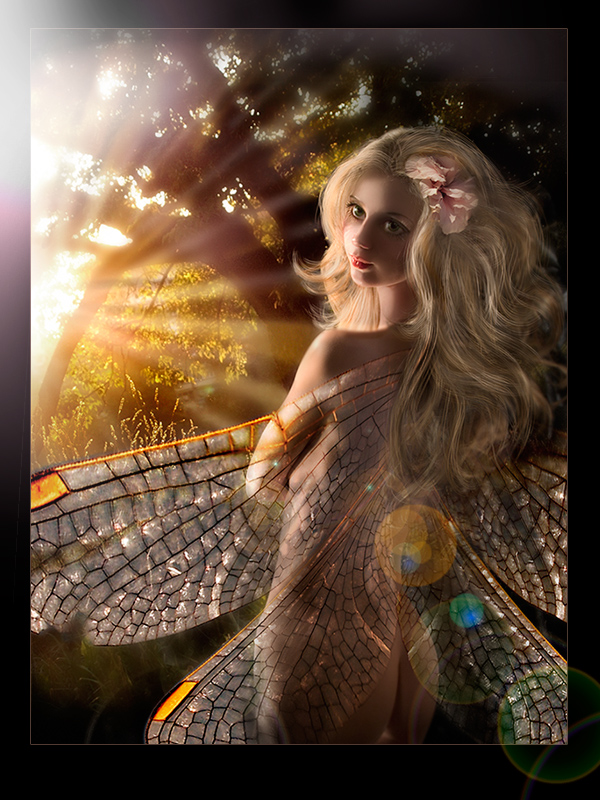 Сказка в цвете или волшебный лес 2.