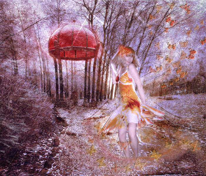 Про бабочек