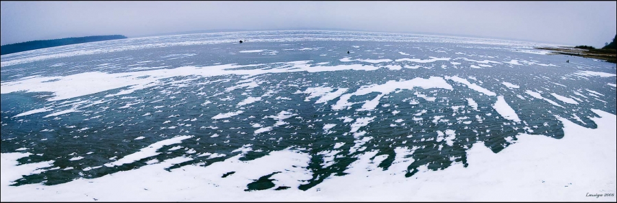 Пятнистость жизни