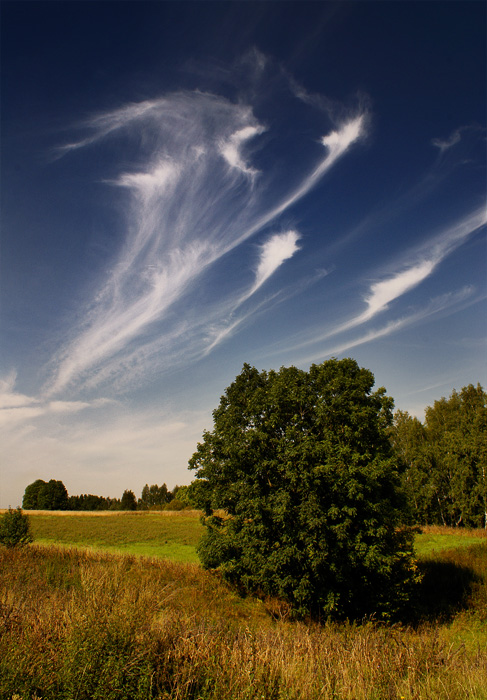 Clouds as cranes. End of summer.