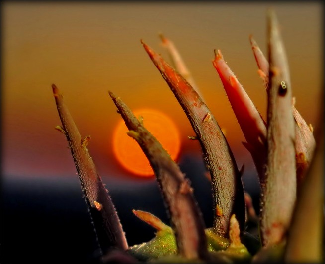 ..і асьвятляць нам будзе шлях зорка найменьнем Зямля