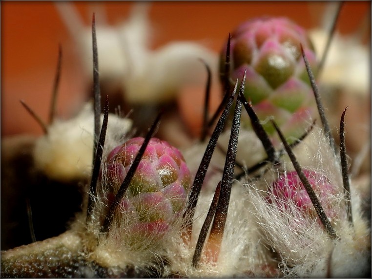 ..среди миров..