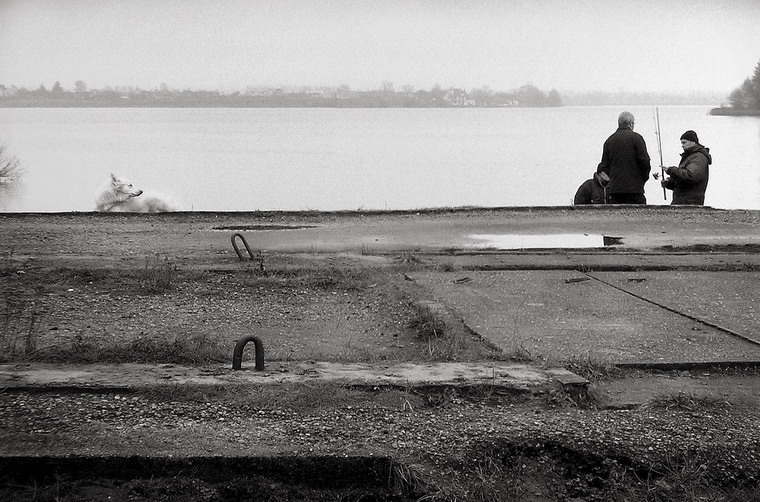 рыбаки и белая собака