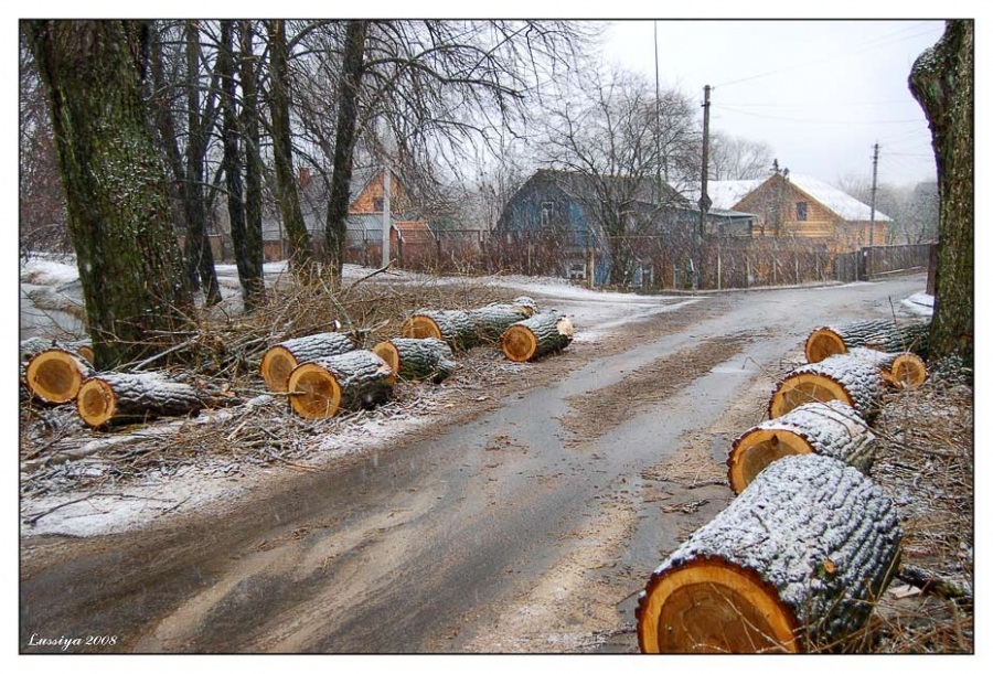 Сто первая!