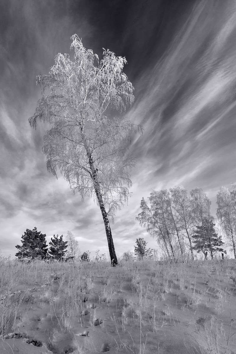 Чб вариант.