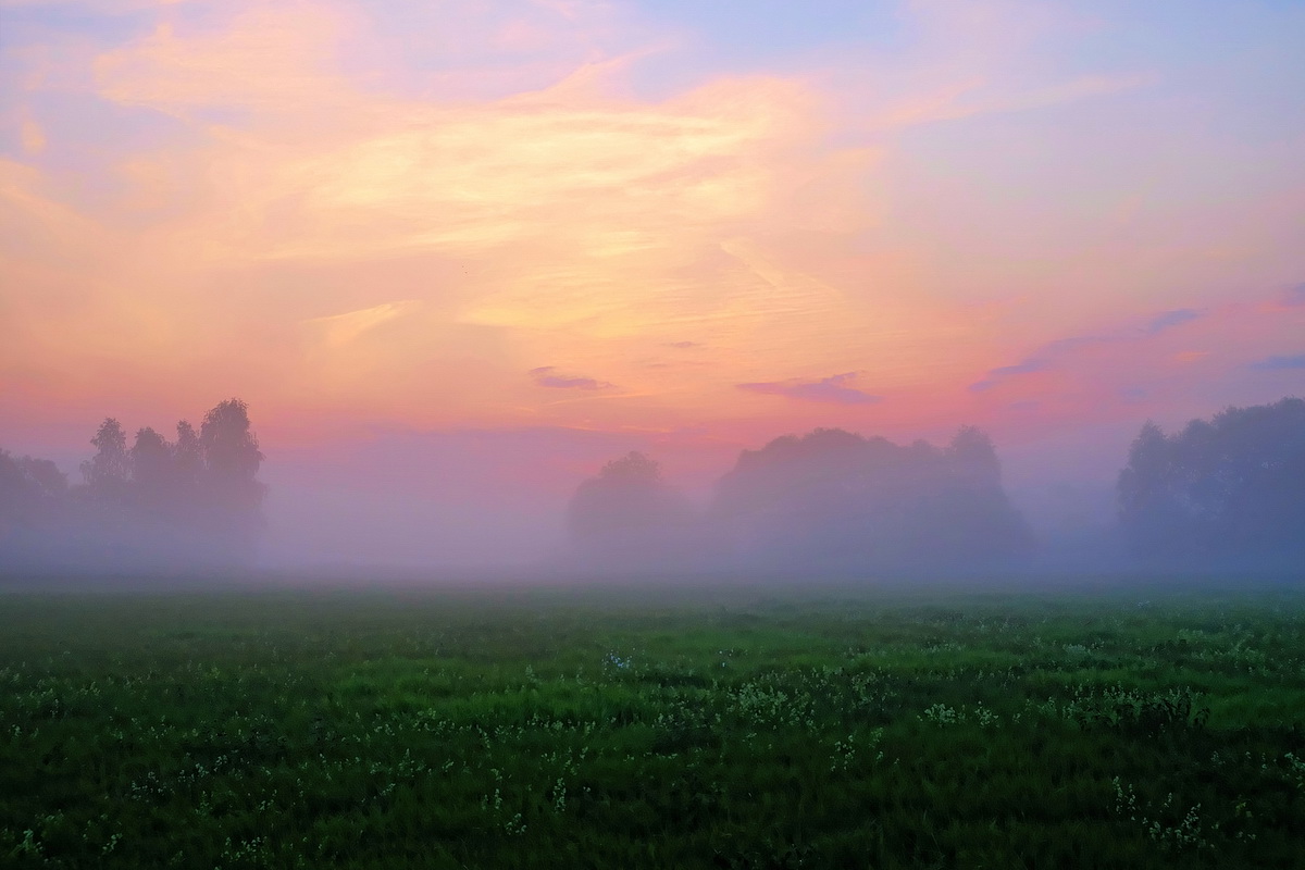 акварели утра