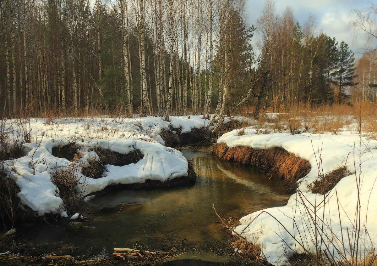Весенний день