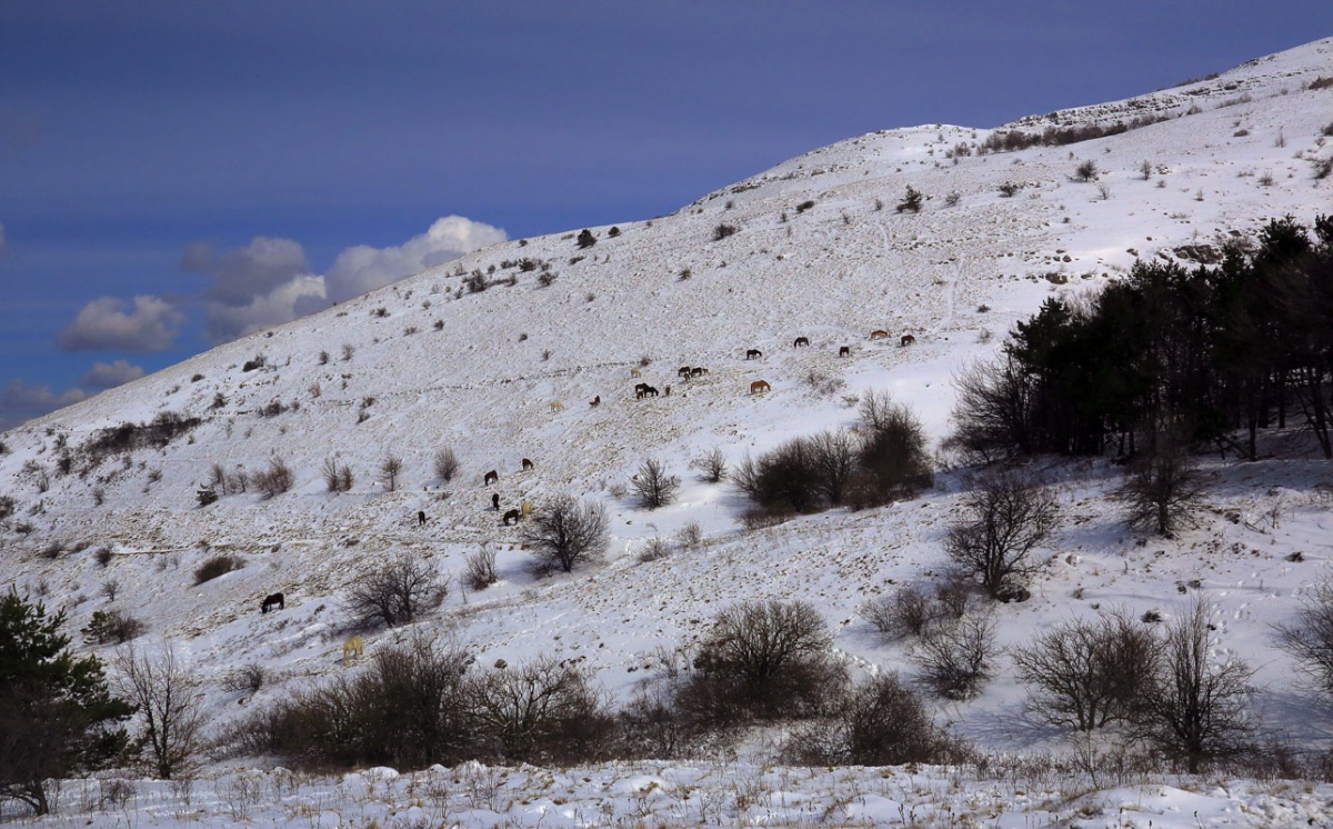 Северный Демерджи