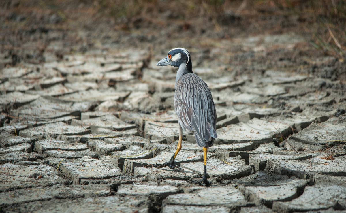 navigate through the cracks