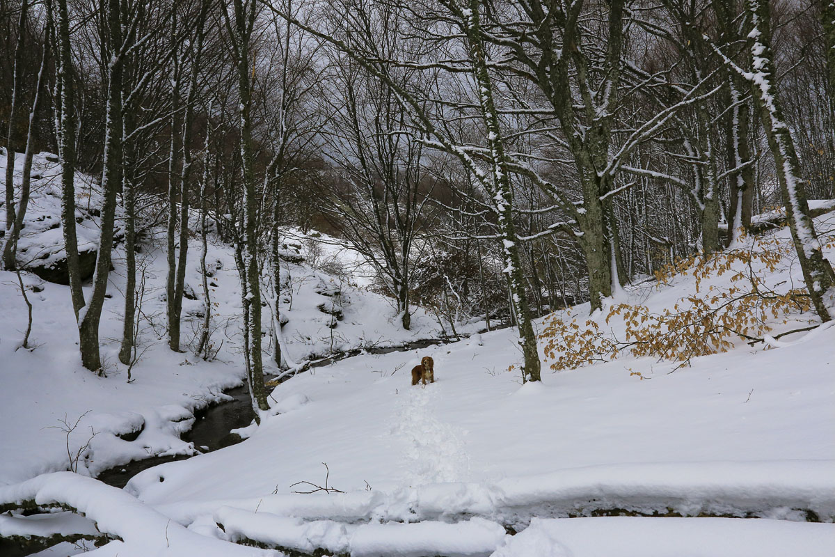 Этот апрель..