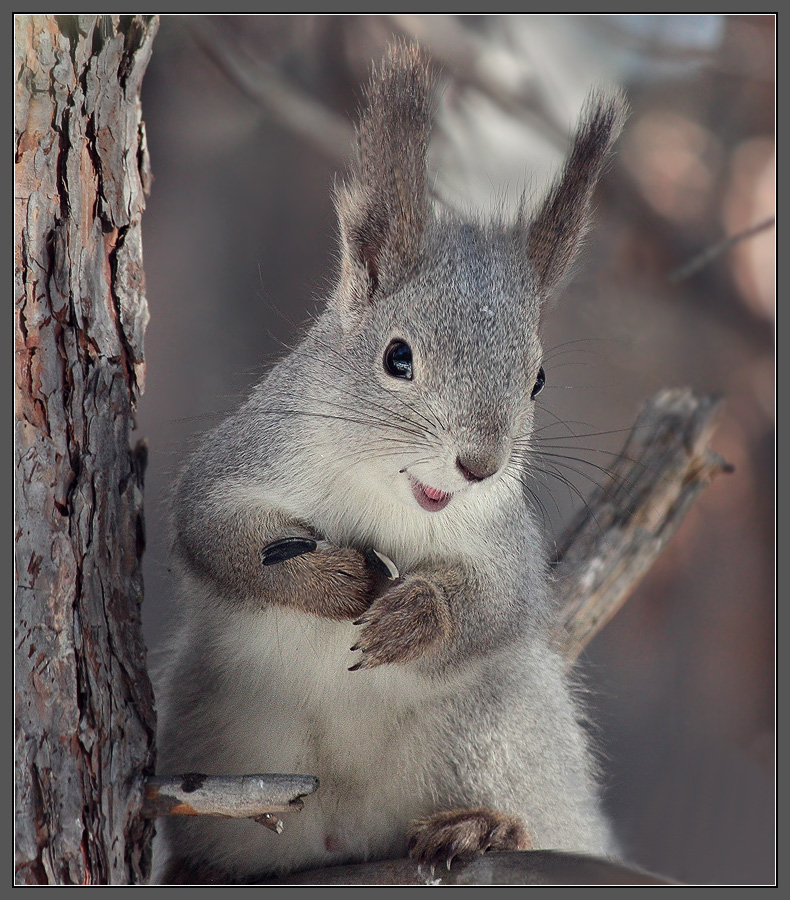"От улыбки станет всем теплей"