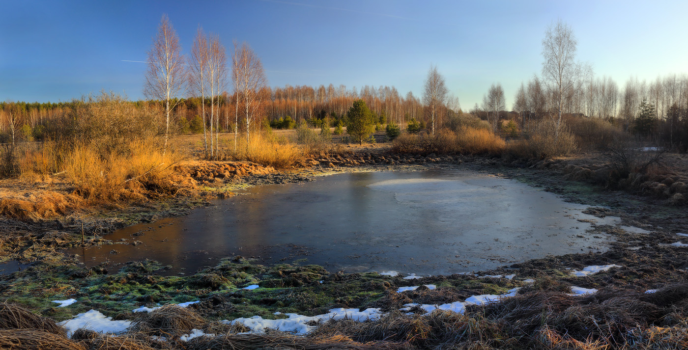 Весеннее утро