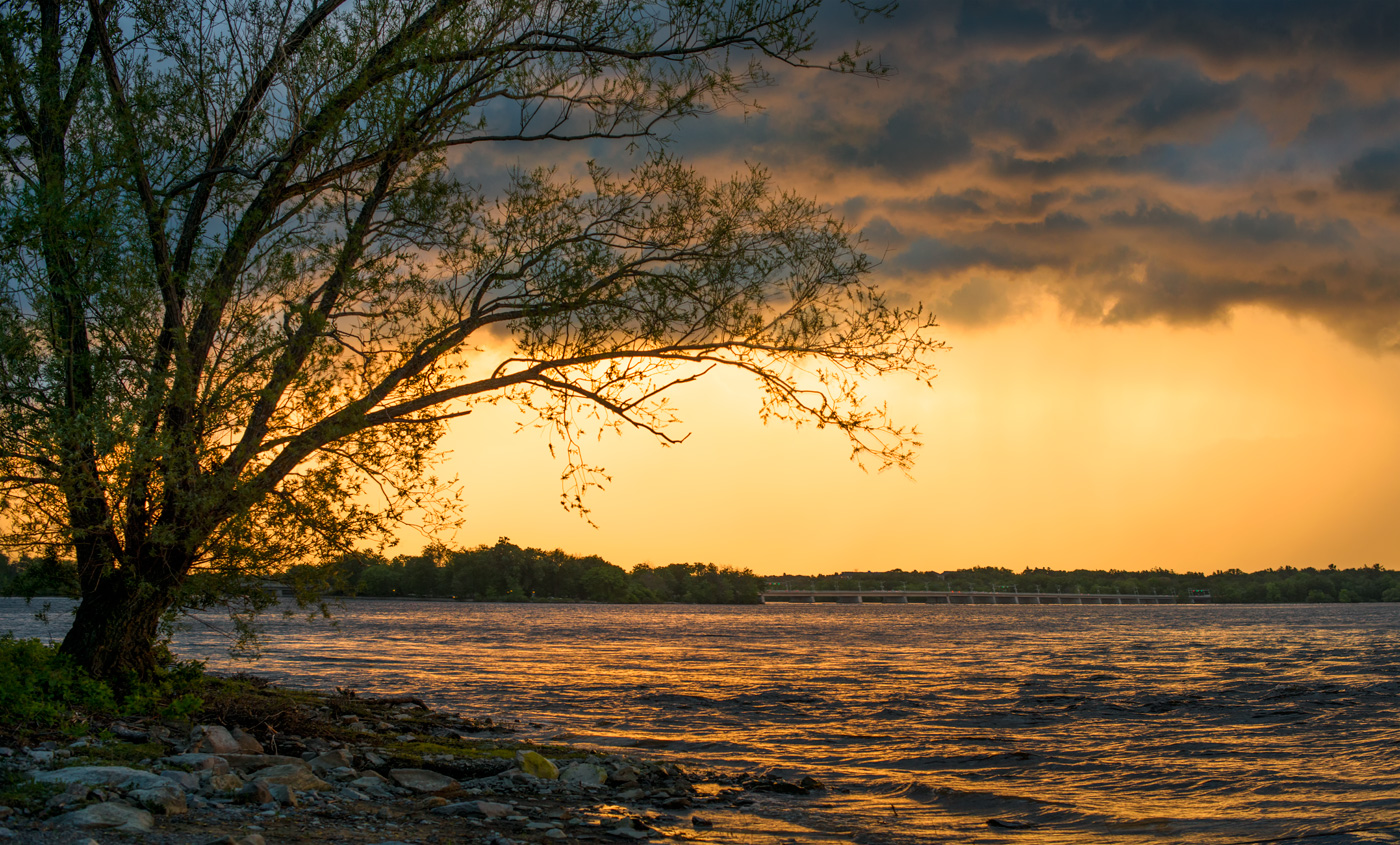 Timeline of Failed Prediction