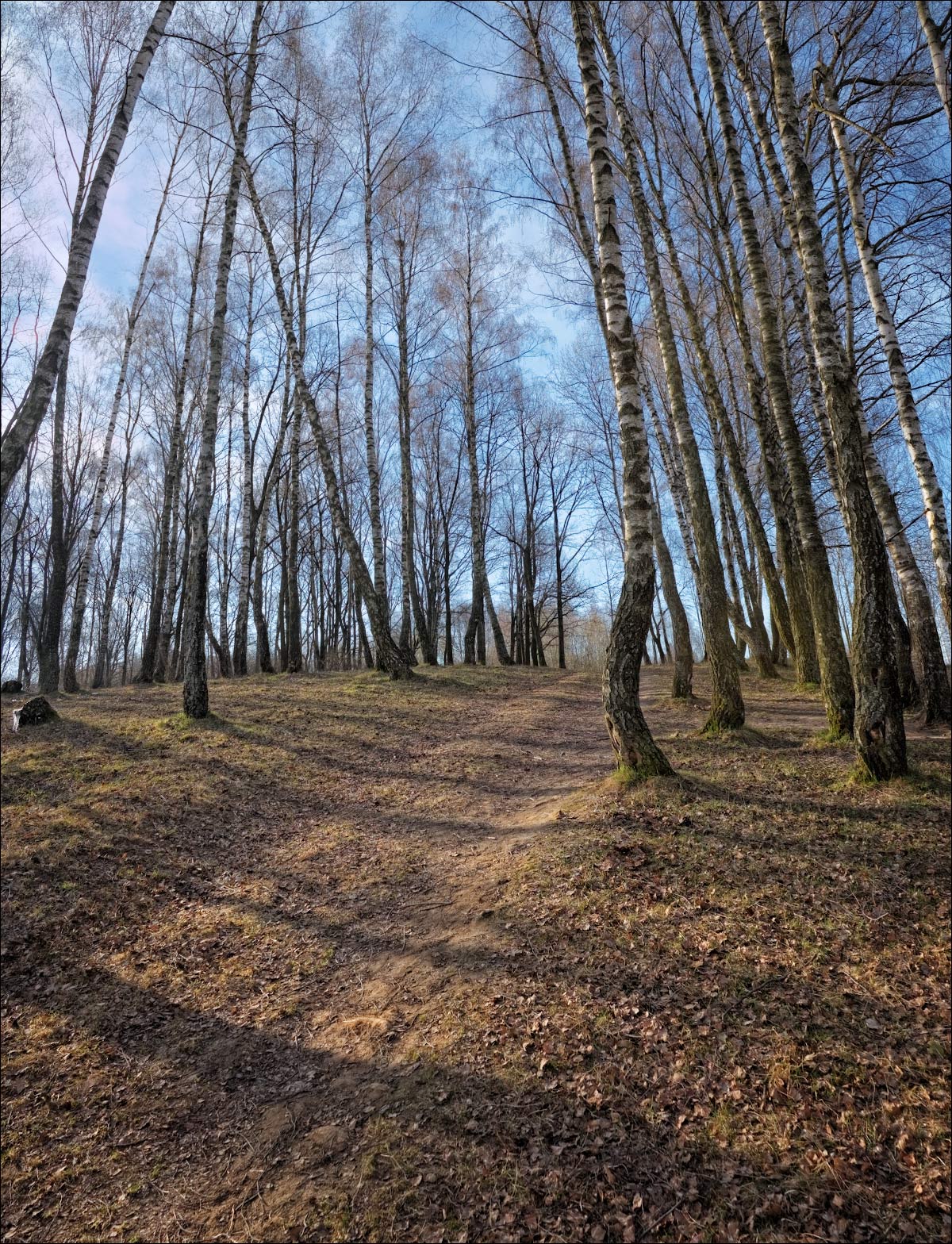 Весна идет...