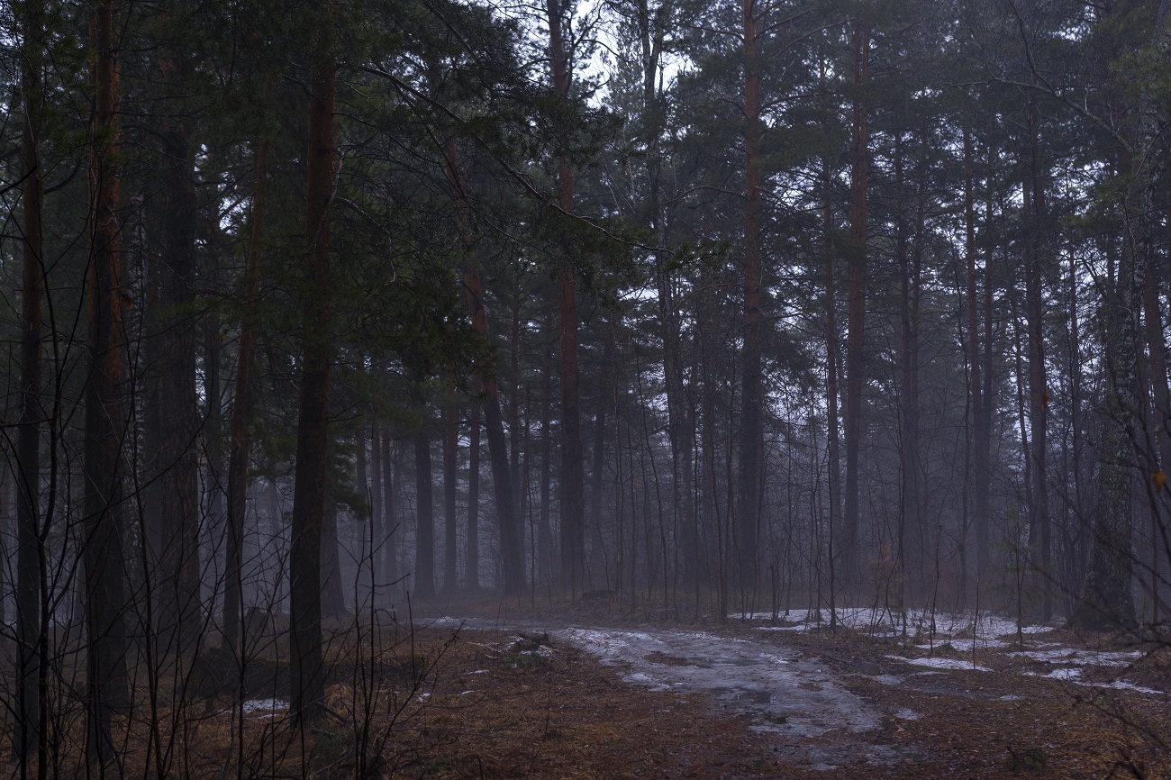 Весенняя дымка.
