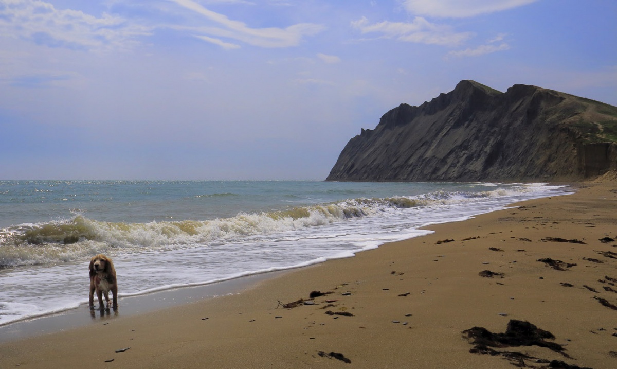 Мыс Хамелеон