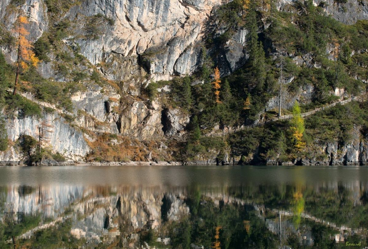 дороги, которые мы выбираем