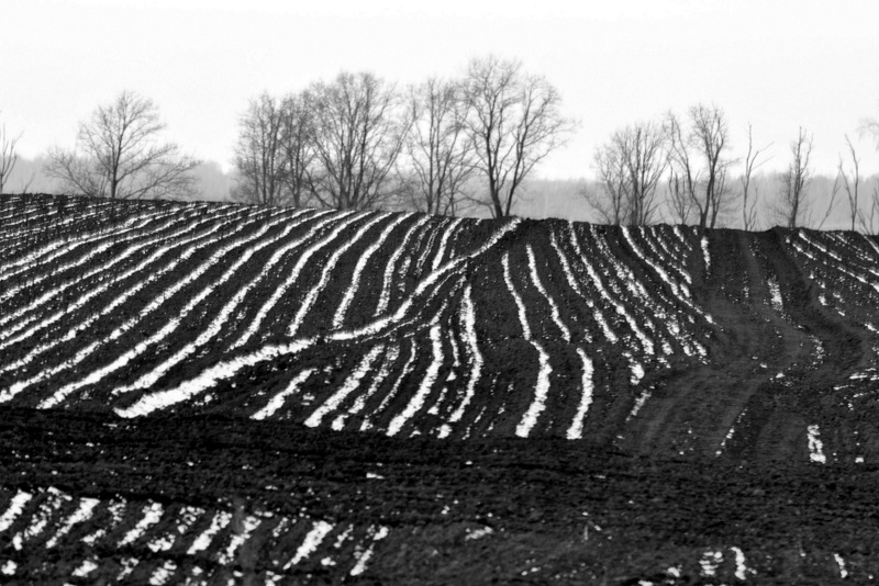 Спокойствие, только спокойствие