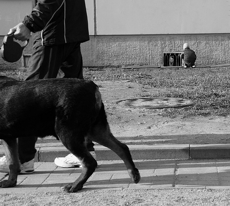 Спокойствие, только спокойствие