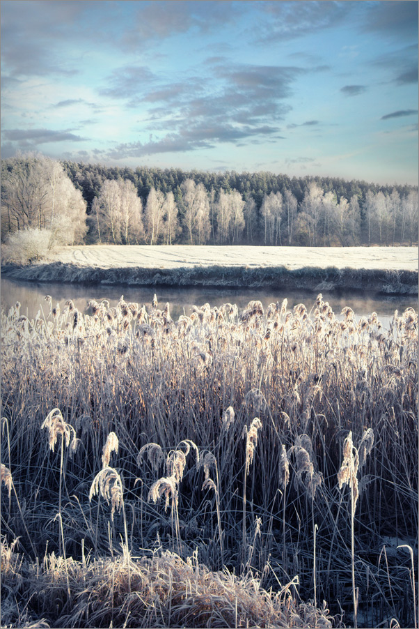 Серебро зимы