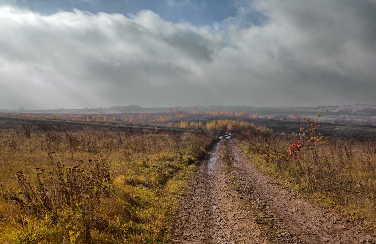 Растуманилось