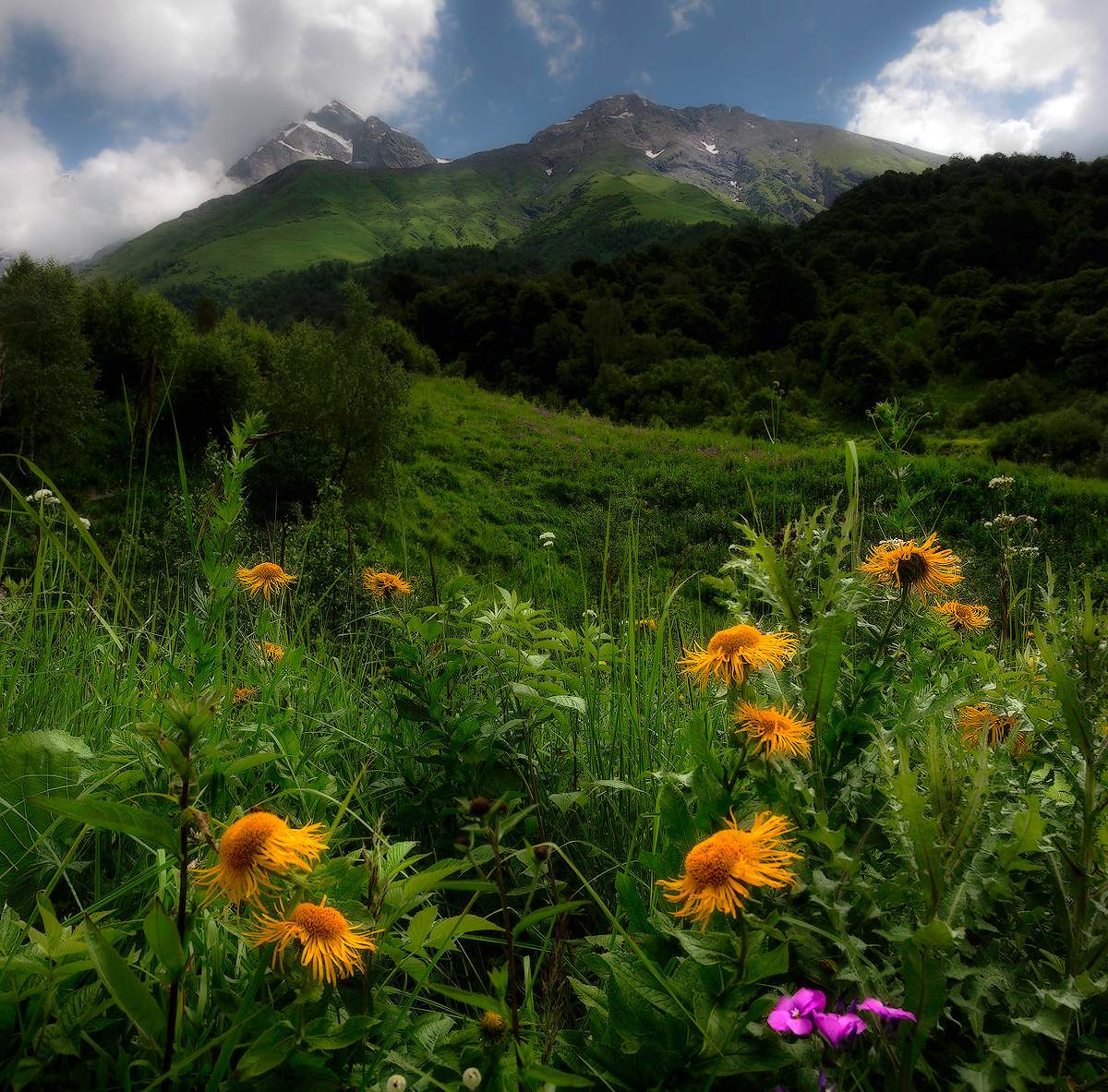 Как прекрасен этот мир... Посмотри...