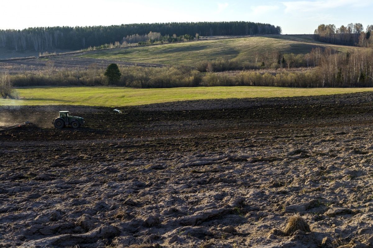 Весеннее обострение