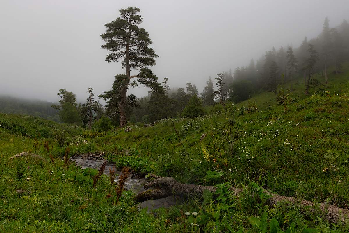 Беги, ручеек!