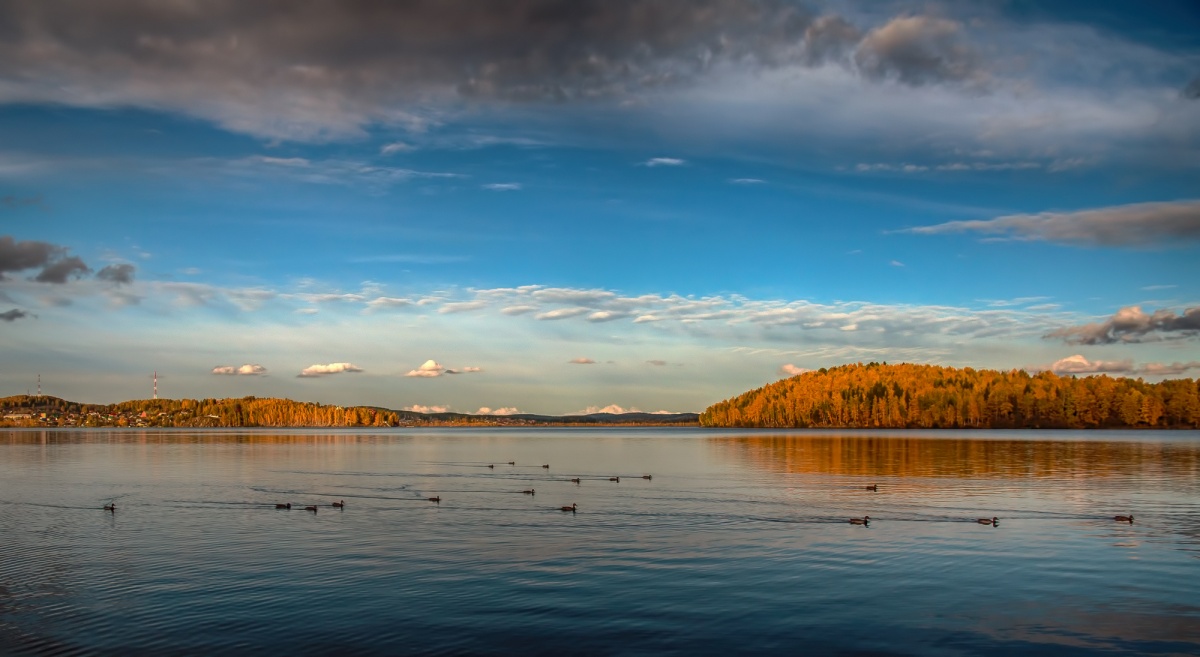 Утиная эскадра