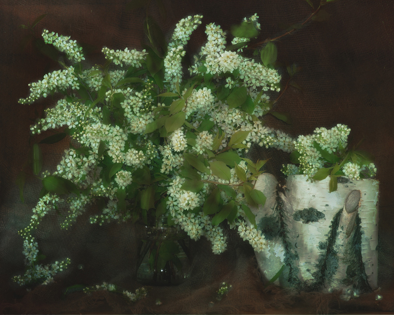 Букет черемухи..