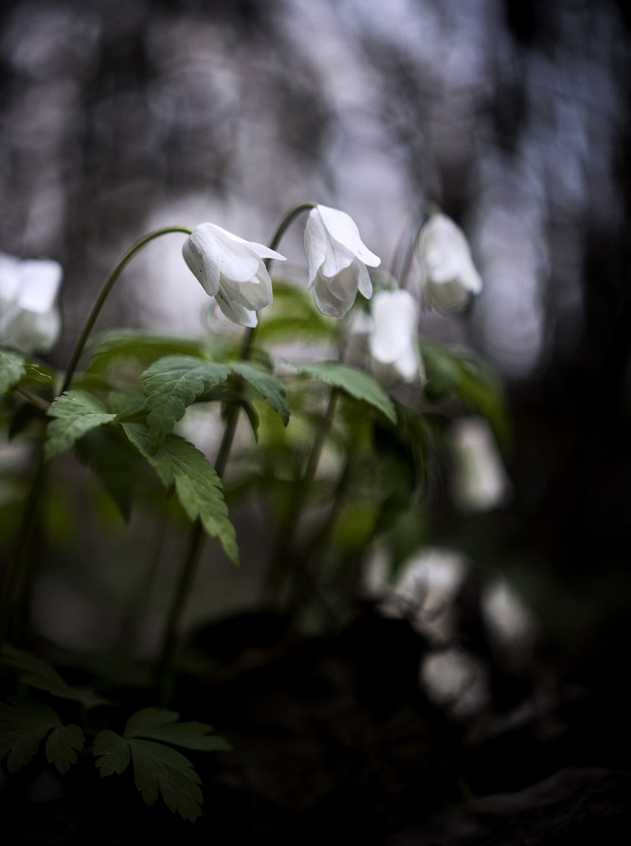 Смеркалось.