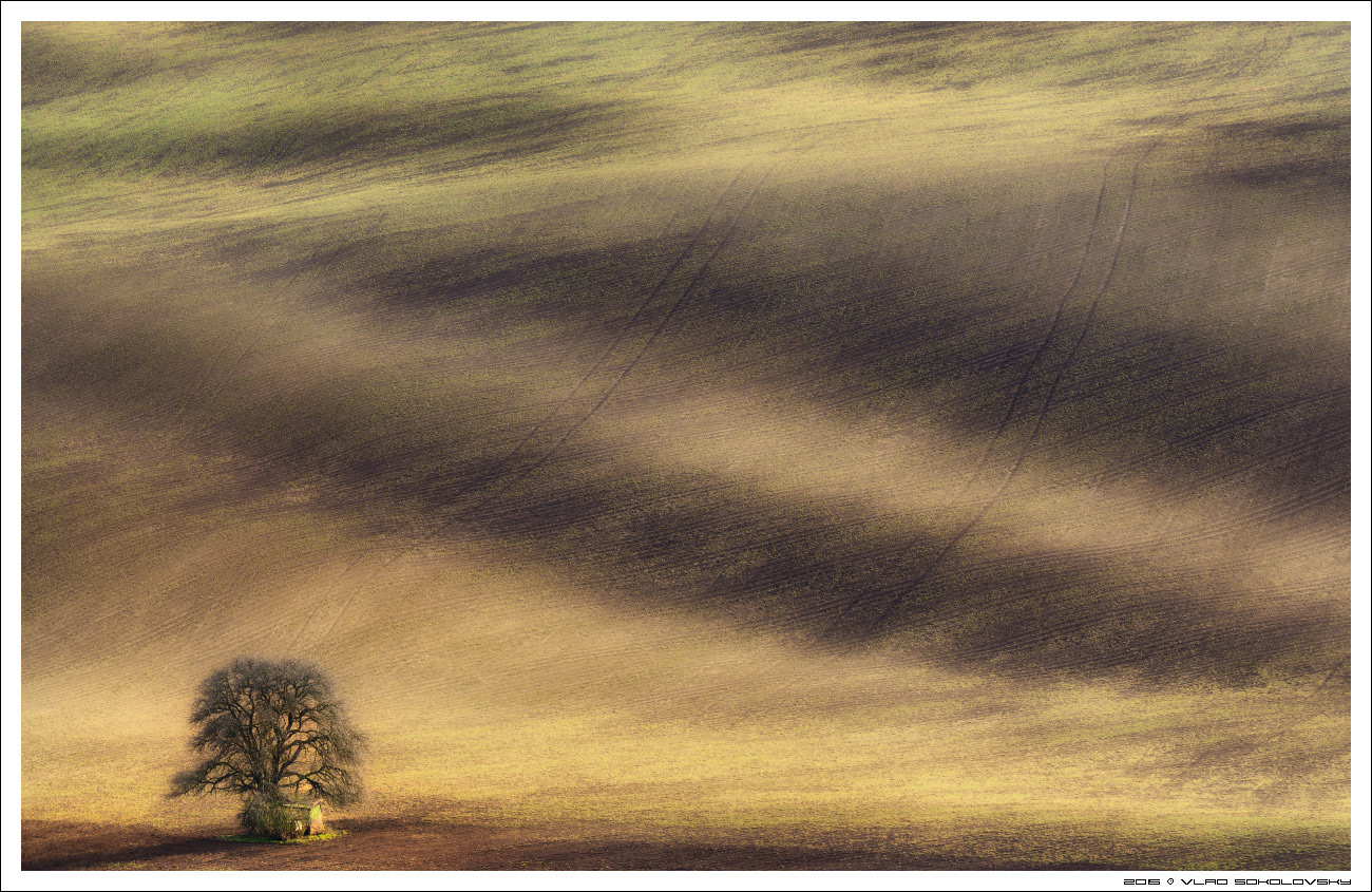 / Весна в Южной Чехии /