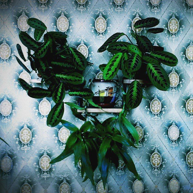 Инстаграмка №2