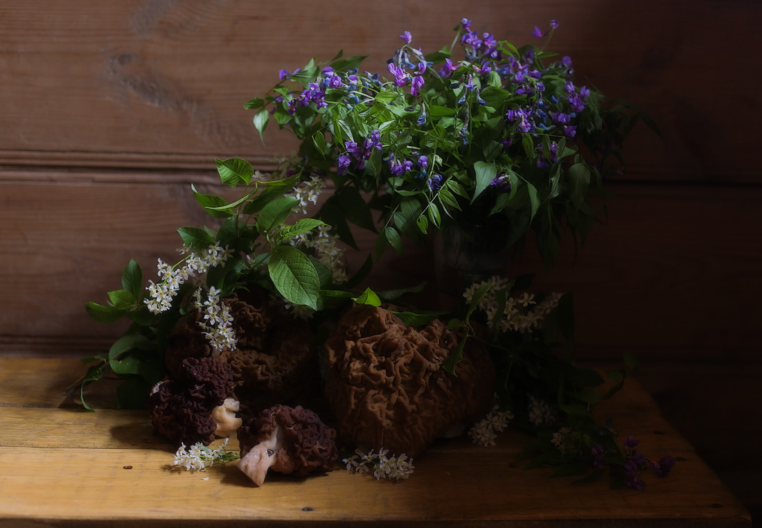 Пока цветет черемуха