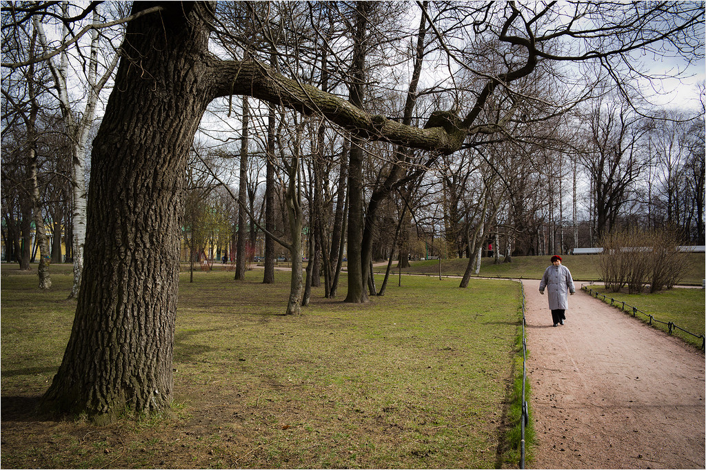 люди и деревья