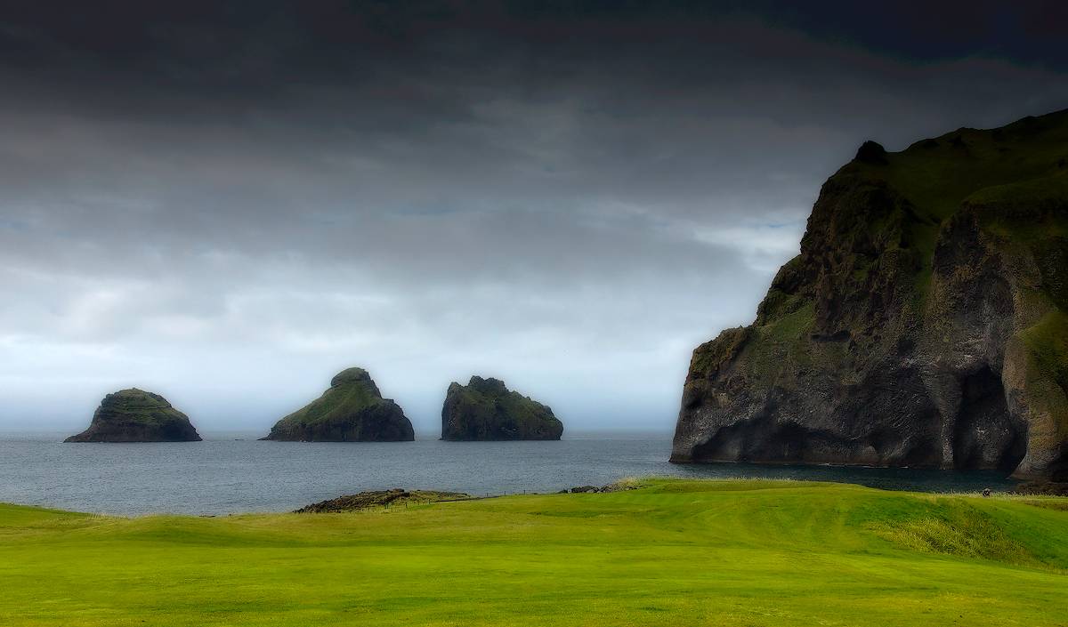 Три медвежонка...