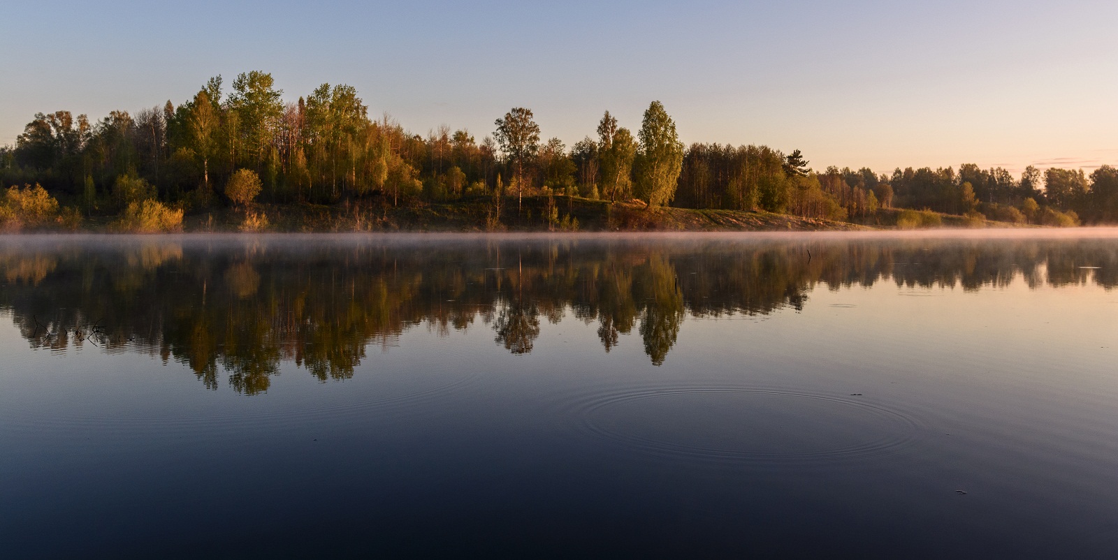 Утренние сны.
