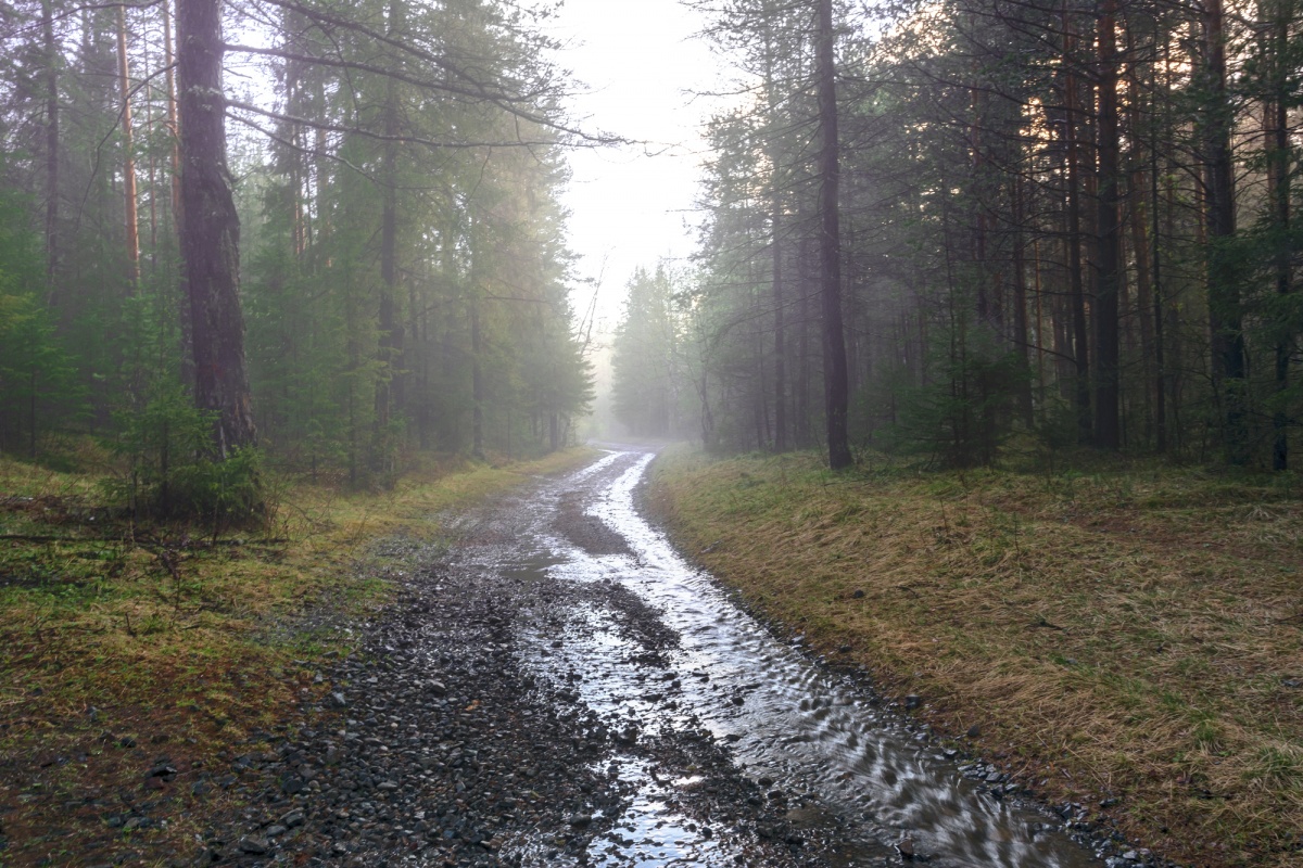 Убегающая вдаль