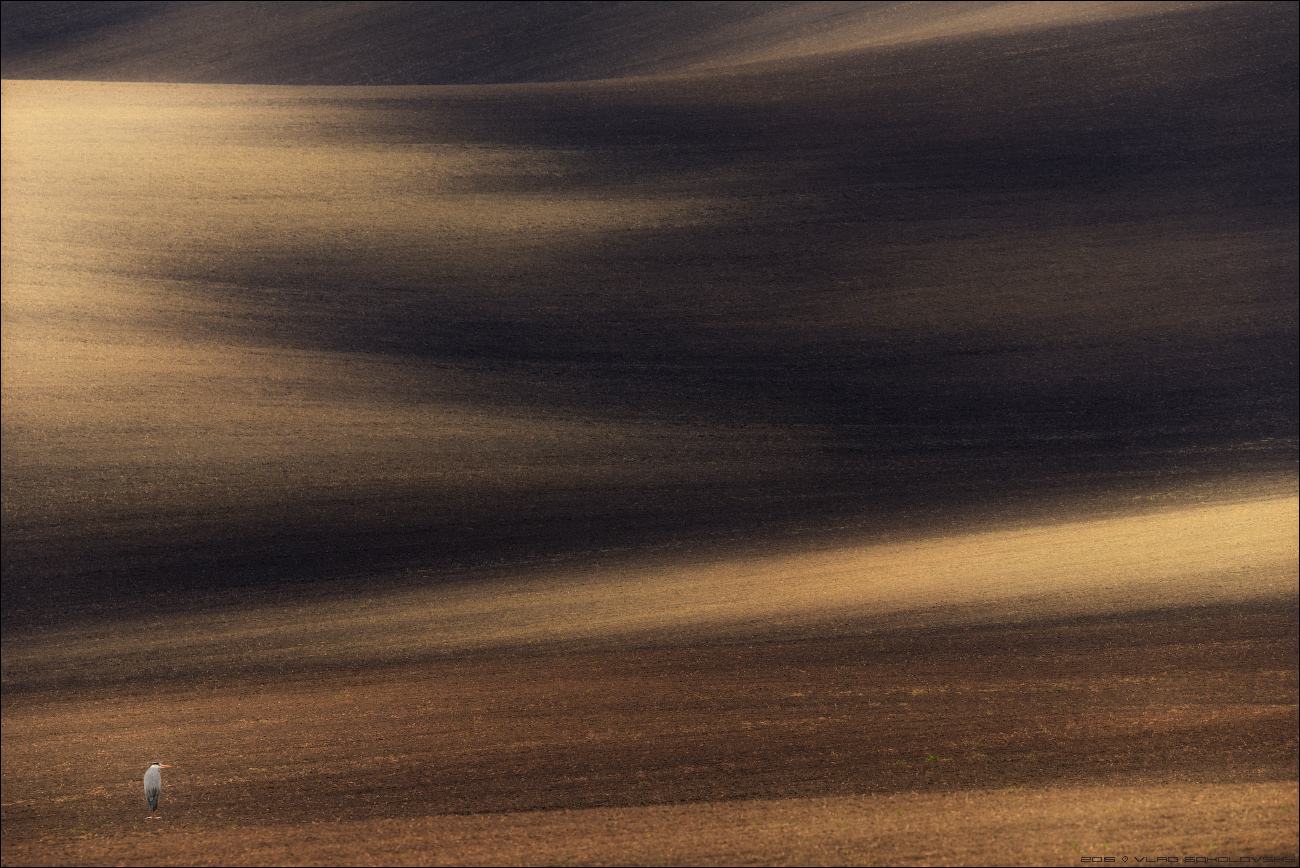 / Генерал песчаных карьеров /