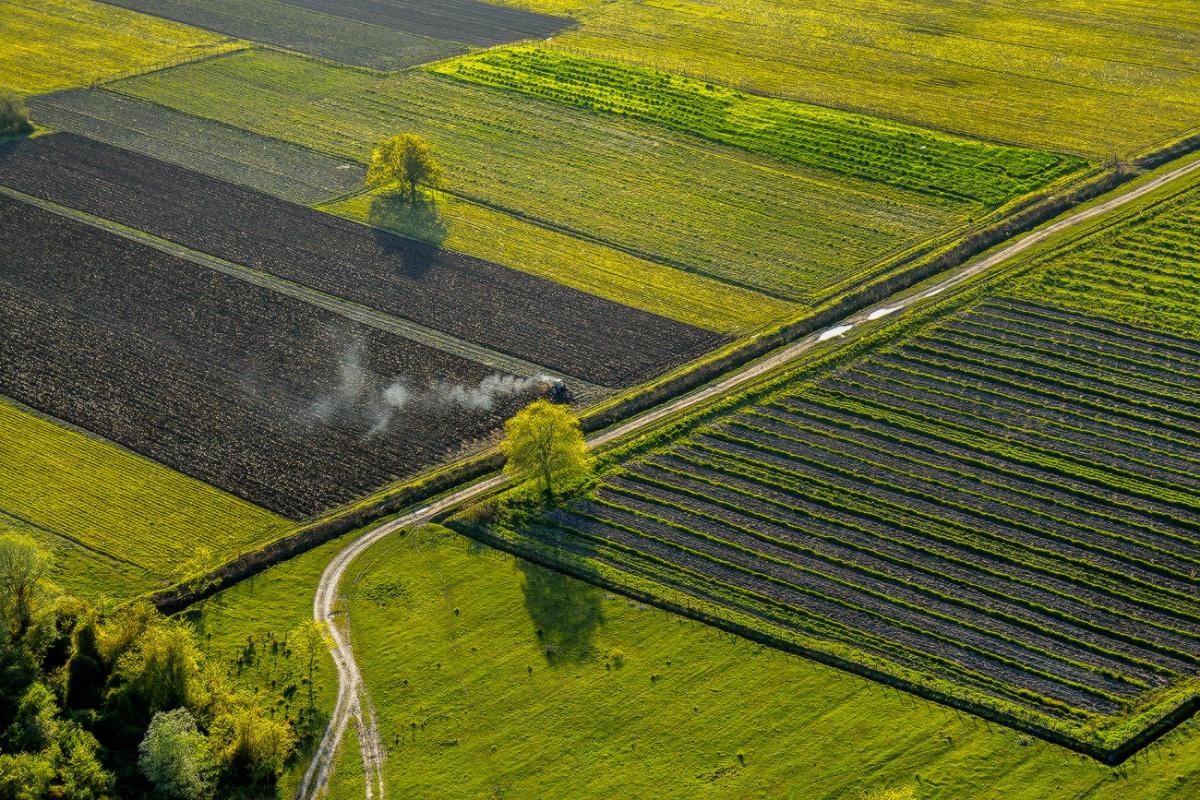 Весенние поля.