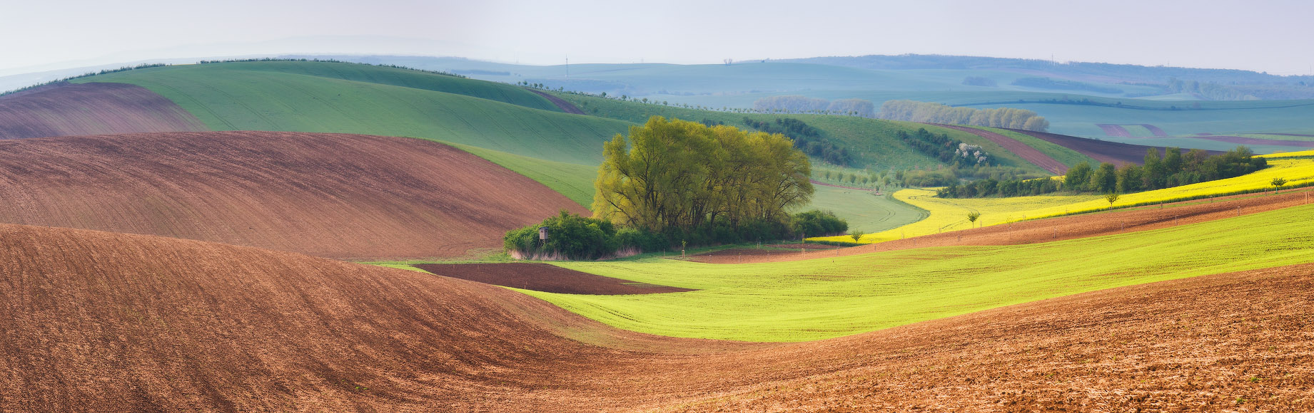 Моравская тема
