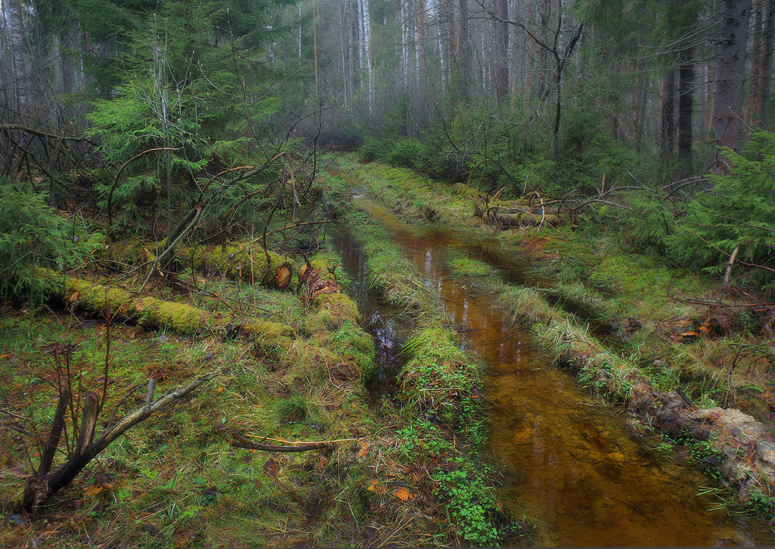 Ранневесенняя