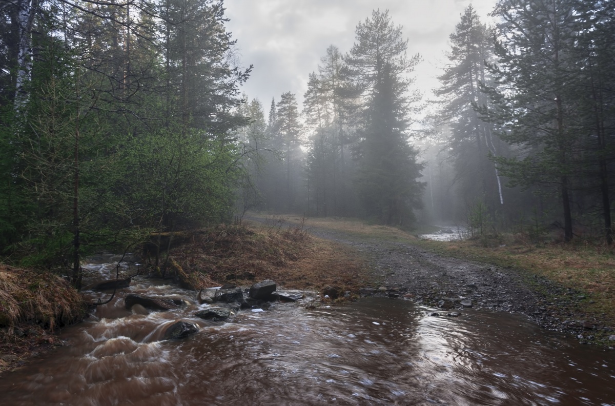 Вечерний туман