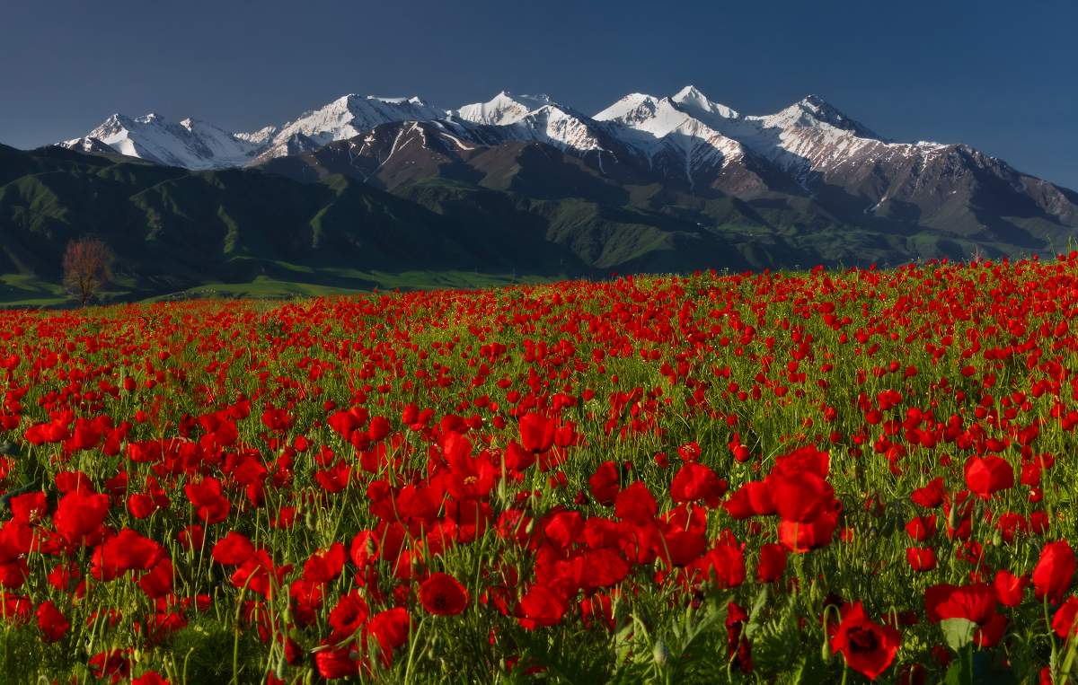 Этюд с мокрыми ботинками