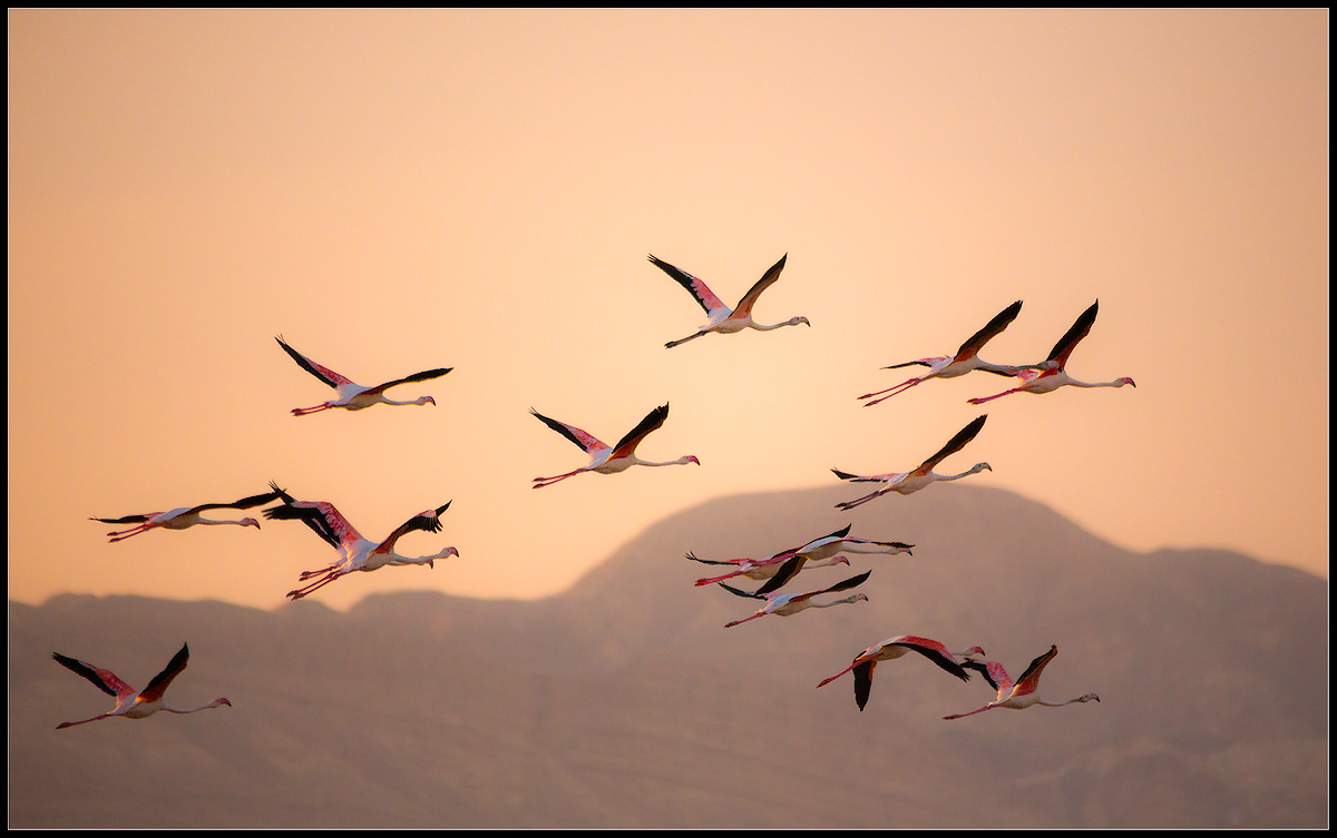 про голубое небо...