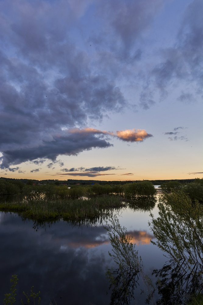 Отрожение взгляда.