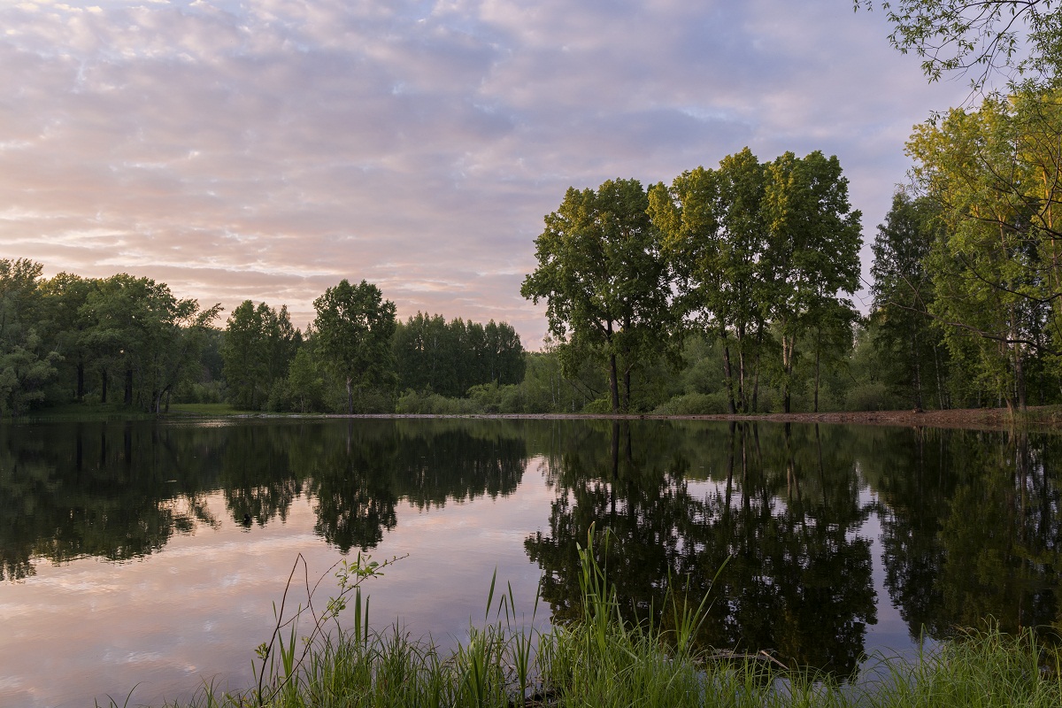Без названия.