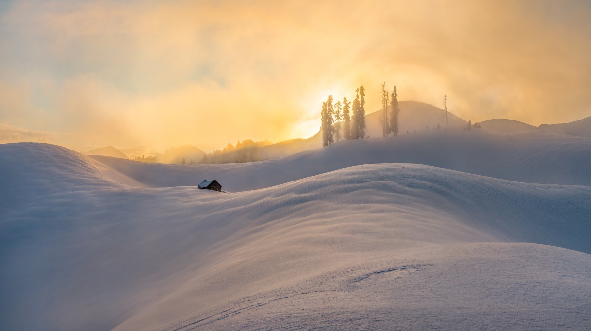 Что-то из детских снов.