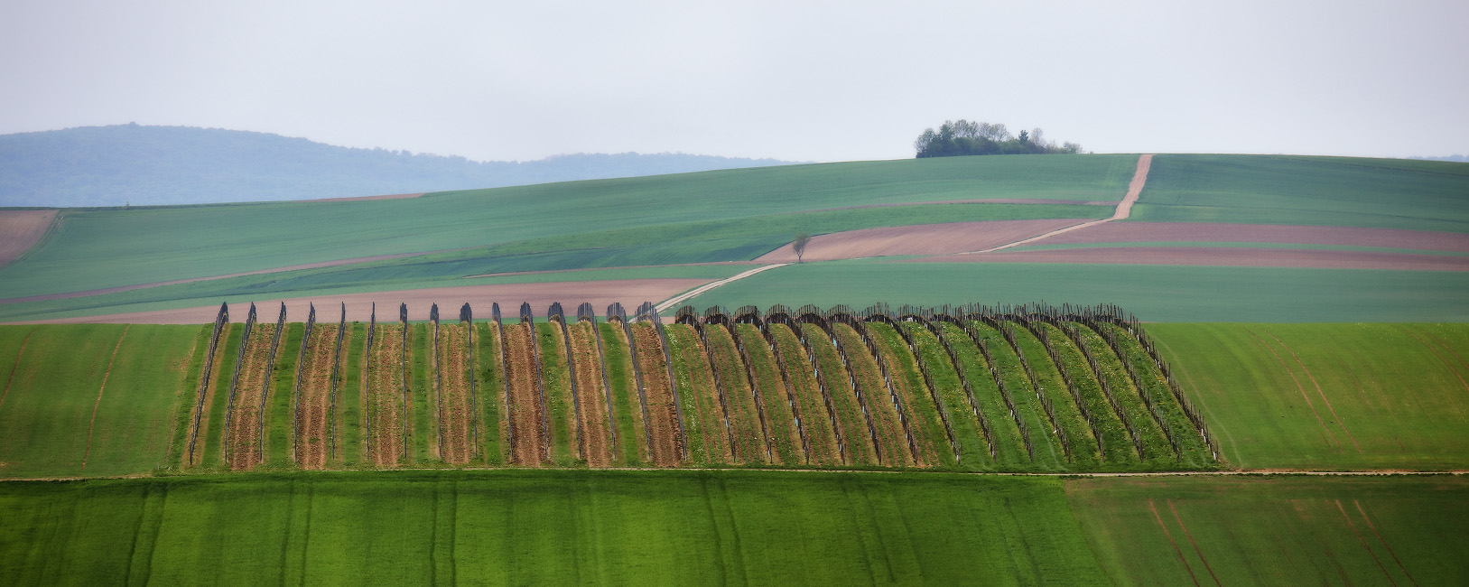 Весна в нижней Австрии