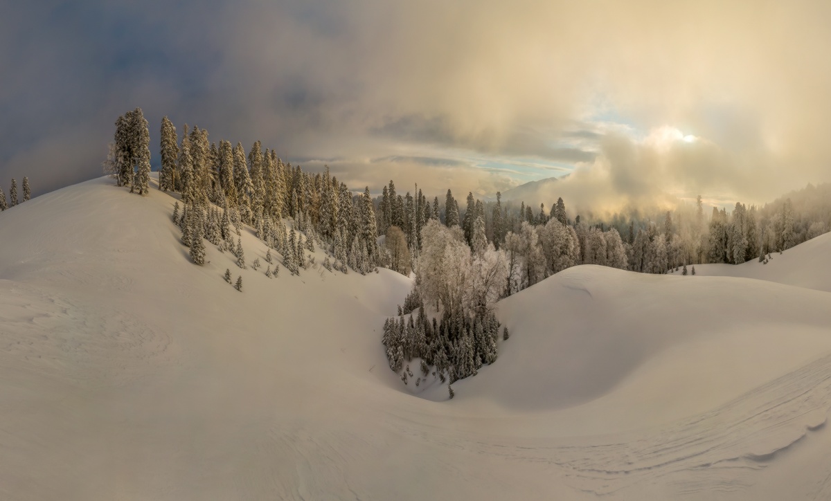 Рассвет сквозь туман.